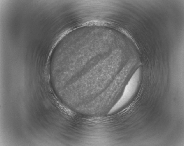 X0000051861075200507221851