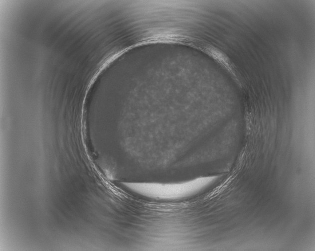 X0000051861077200507221851