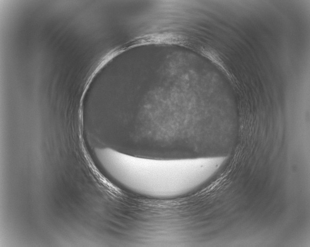 X0000051861079200507221851