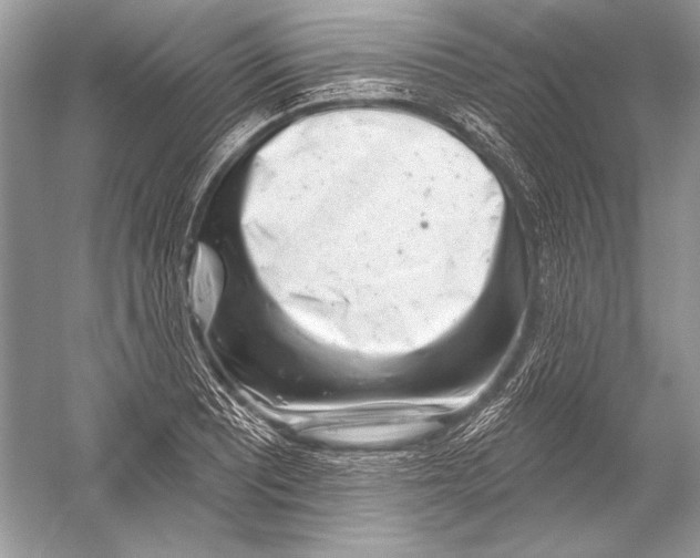 X0000051861081200507221851