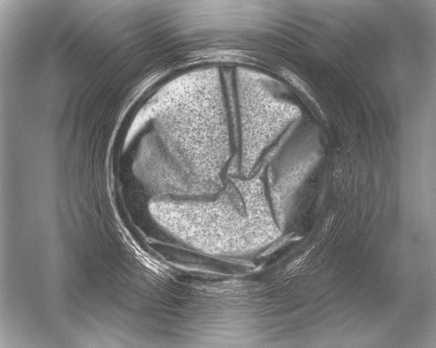 X0000051861082200507221851