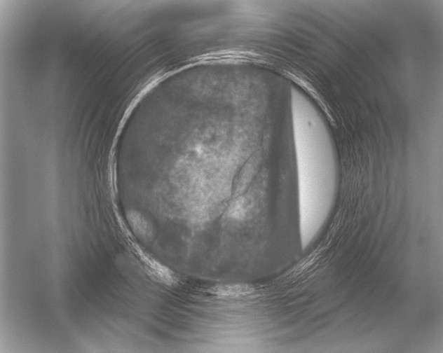 X0000051861083200507221850