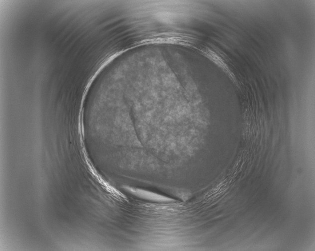 X0000051861084200507221850