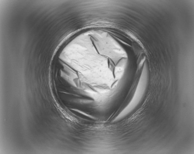 X0000051861085200507221850