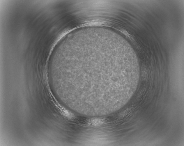 X0000051861086200507221850