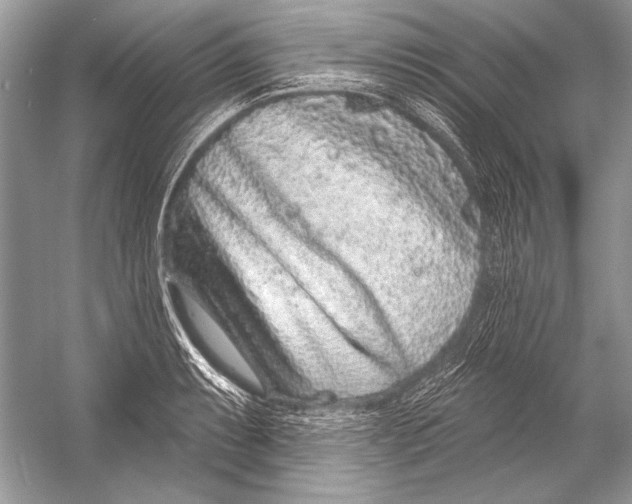 X0000051861087200507221850