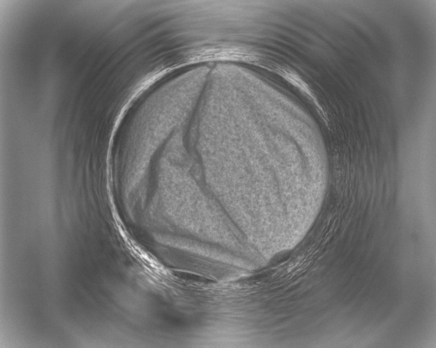 X0000051861088200507221850