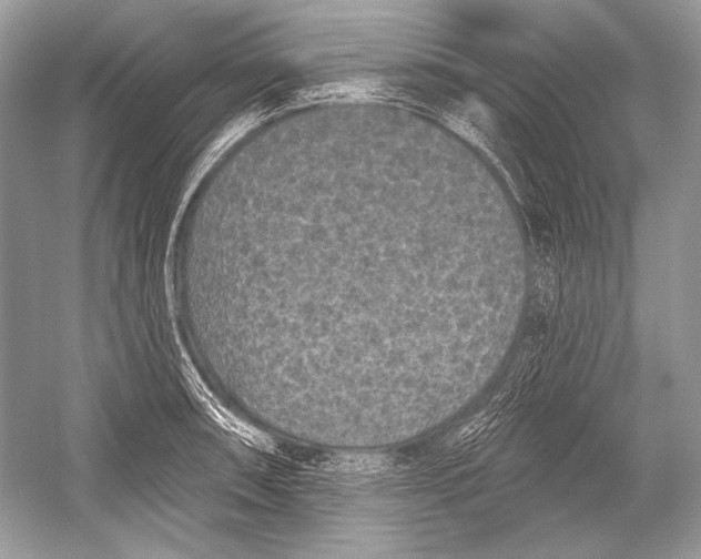 X0000051861090200507221850