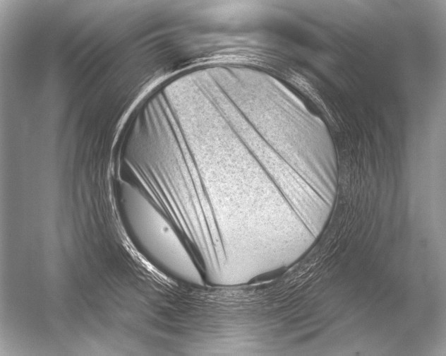 X0000051861092200507221850