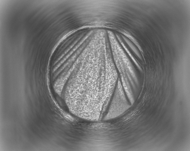 X0000051861093200507221850