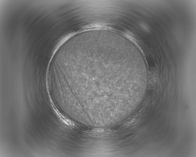 X0000051861098200507221850