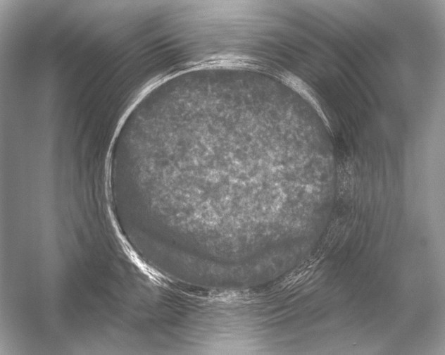 X0000051861099200507221850