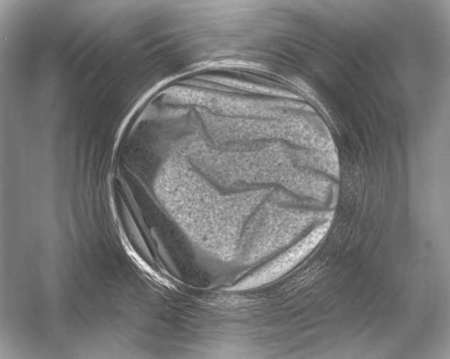 X0000051861100200507221850