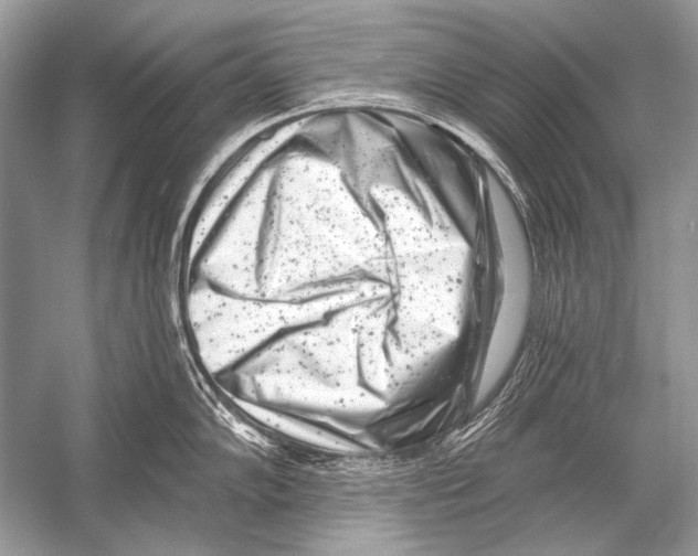 X0000051861102200507221850