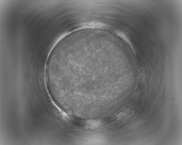 X0000051861103200507221850