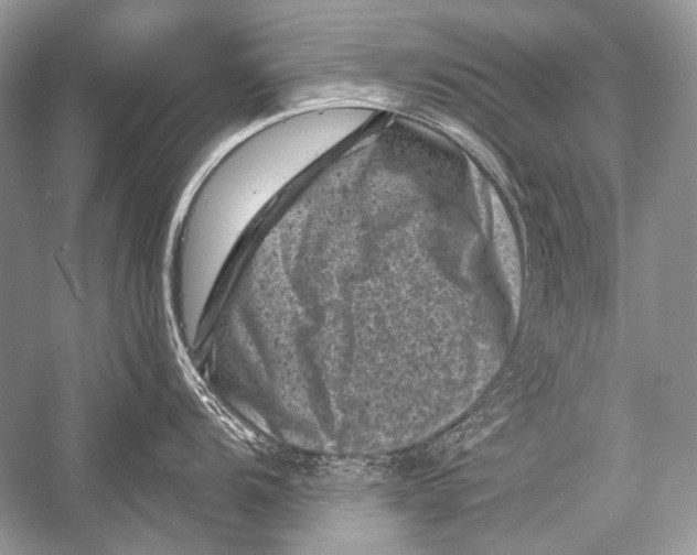 X0000051861104200507221850