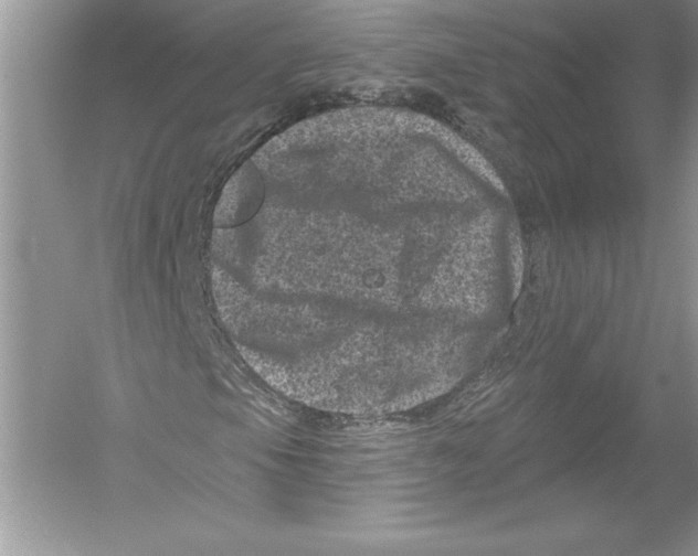 X0000051861105200507221849