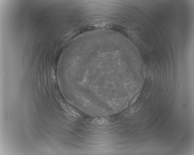 X0000051861106200507221849