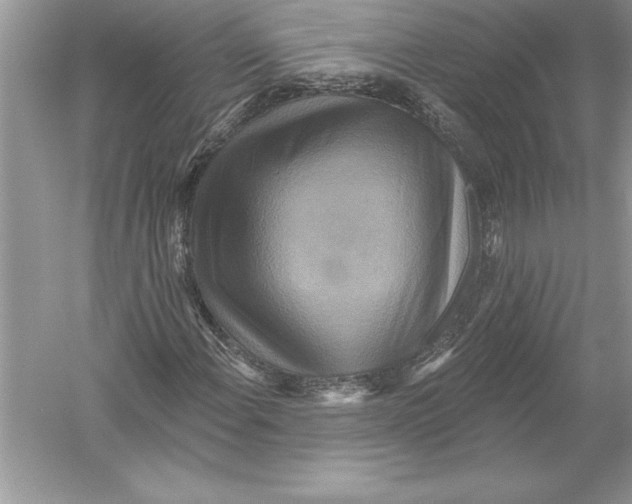 X0000051861108200507221849