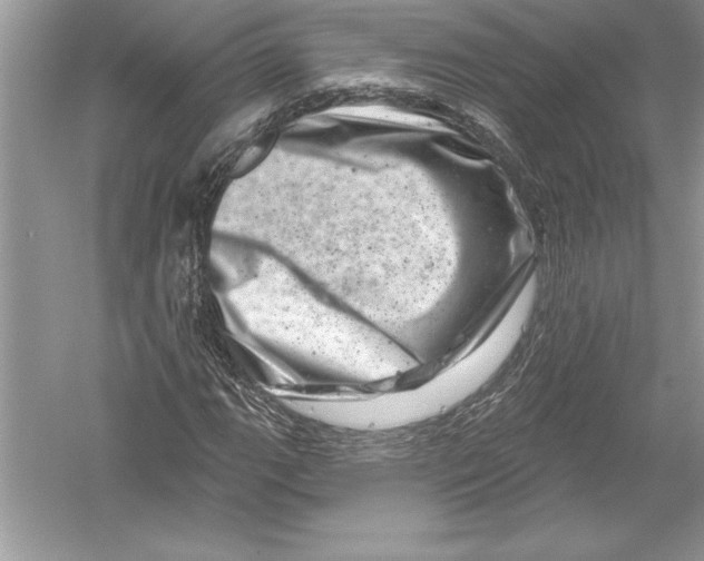 X0000051861111200507221849