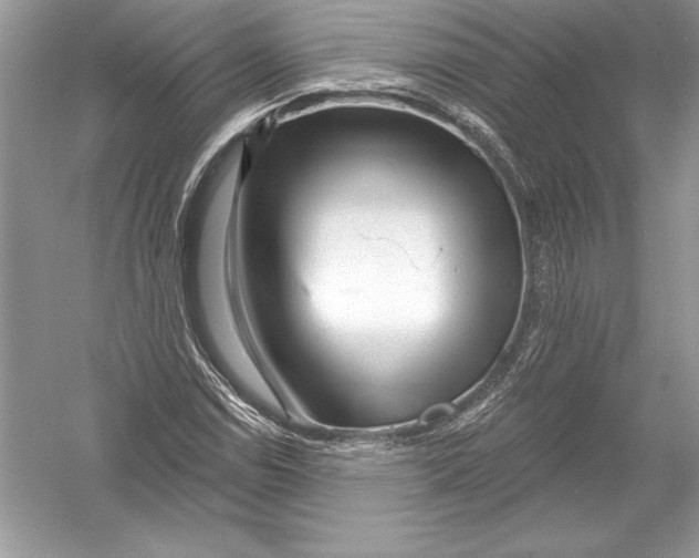 X0000051861114200507221849