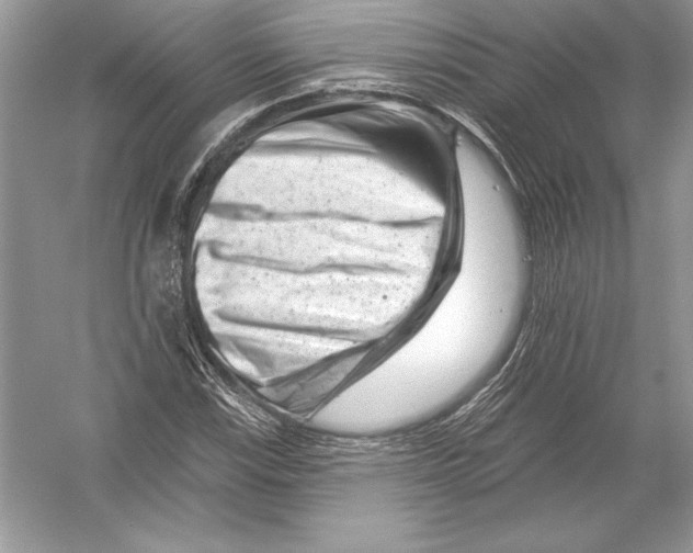 X0000051861115200507221849