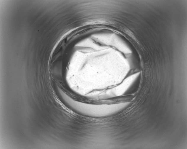 X0000051861116200507221850