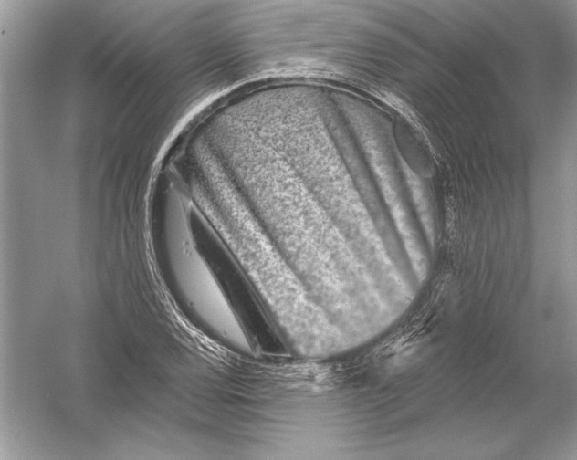 X0000051861120200507221850