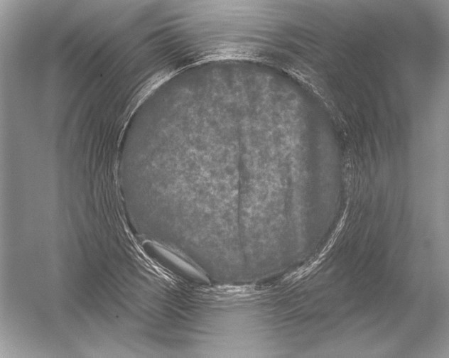 X0000051861121200507221850