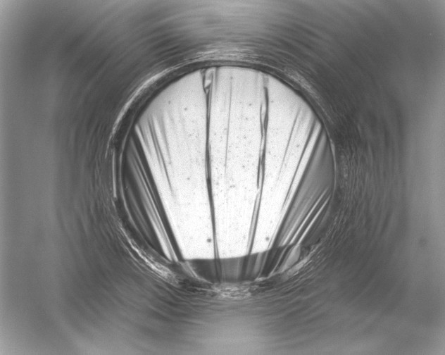 X0000051861123200507221850