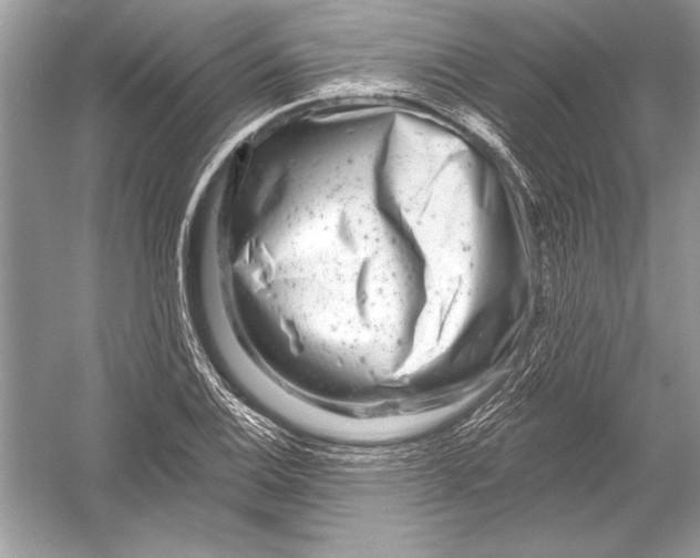 X0000051861124200507221850