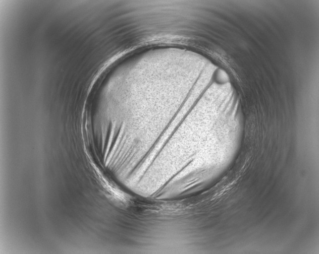 X0000051861125200507221850