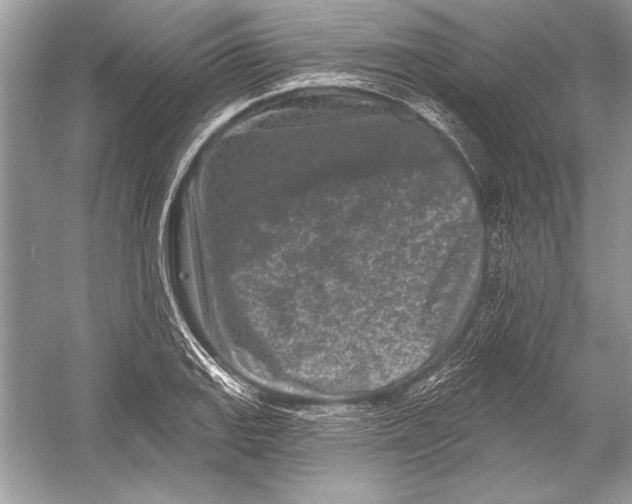 X0000051861127200507221850