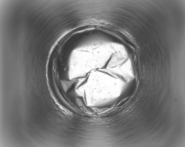 X0000051861128200507221850