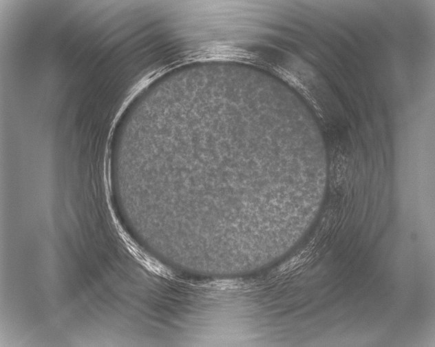 X0000051861130200507221850