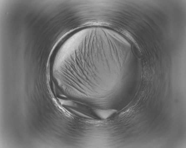 X0000051861132200507221850