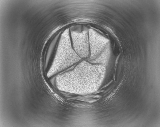 X0000051861133200507221850