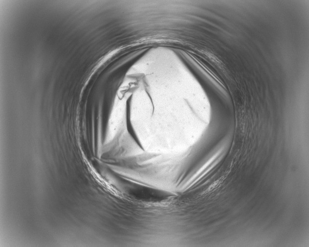 X0000051861134200507221850