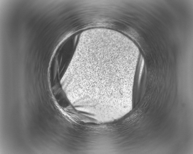 X0000051861135200507221850