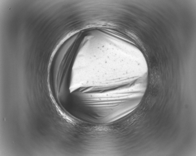 X0000051861136200507221850