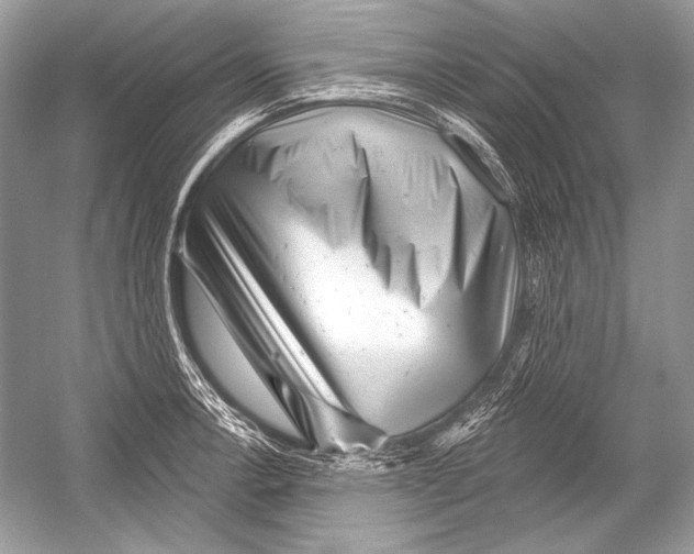 X0000051861138200507221850