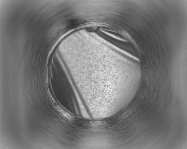 X0000051861140200507221850