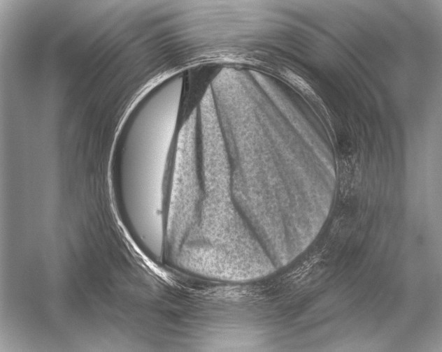 X0000051861141200507221850