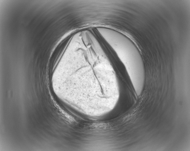 X0000051861142200507221850