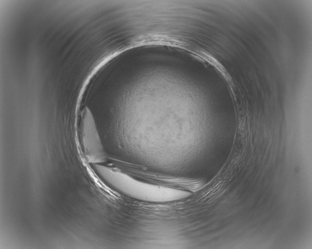 X0000051861144200507221850