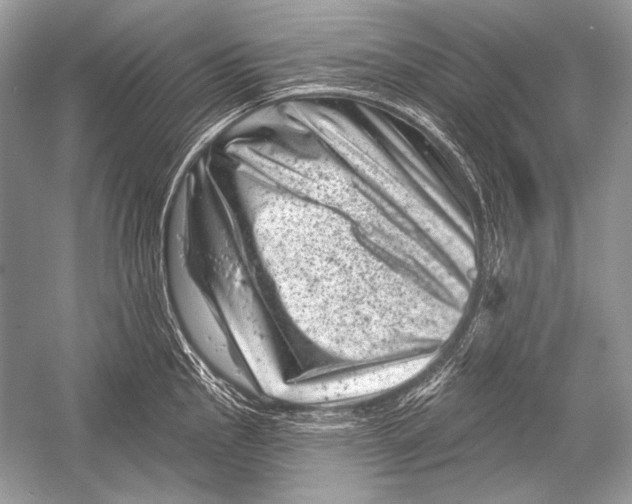 X0000051861145200507221850