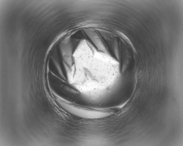 X0000051861146200507221850