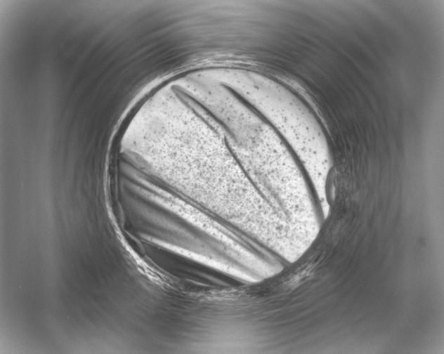 X0000051861147200507221850