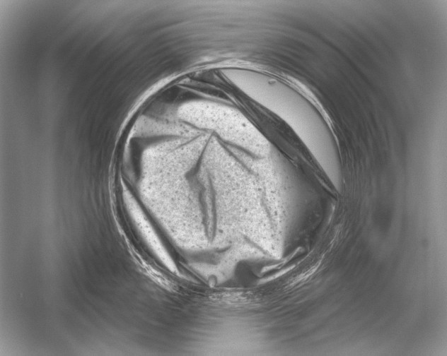 X0000051861149200507221850