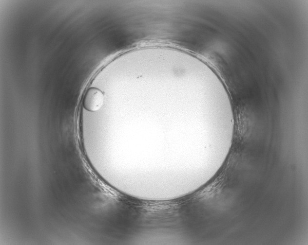 X0000051861150200507221850